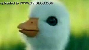 entrevistando comentaristas 2 patito shitpost soygaulex