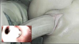 Big cock fills her belly with seed in creampie fun