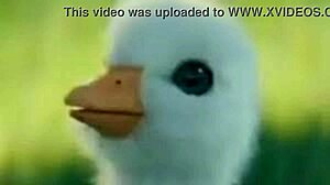 entrevistando comentaristas 2 patito shitpost soygaulex