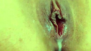 Angelina Grey's pussy up close as she slides in a big dildo, cums, and squirts