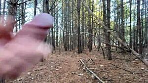 clitlicker662 - update 28 - img 1283 - dec 31 2024