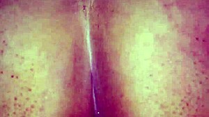 la puta del barrio me dijo que le suba el volumen al tv para que los vecinos no escuchen sus gemidos y como le doy recio con mis huevos en su panocha