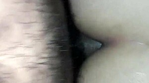 feeling anal creampie deep in big ass