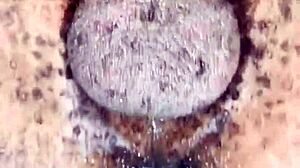 Yuki preps Kuro for anal pleasure with toys, gearing up for big black cock fun