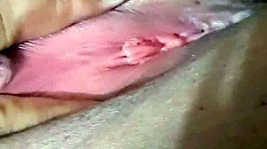 Gordinha sexy doing solo fun 😘