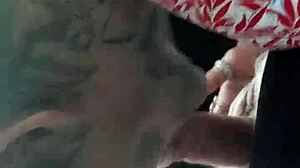 Colorado blowjob in car 😏