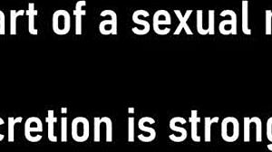 Dr Tampa Bratty Orphans Cheerleading Physical Blaire Celeste