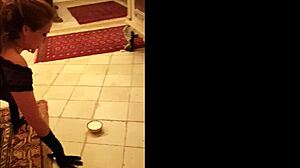 Sexy kitty cat solo show