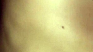 Massaging porn babe with oiled balls licking and rough sucking