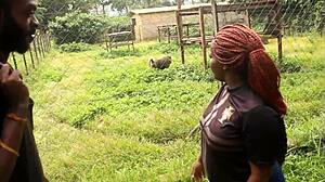 Tourists Discover Unexplored Places And Memorable Moments In Park