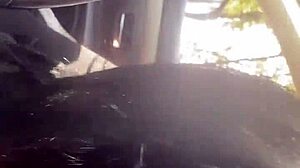 milfycalla shorts compilation - fetish romantic blow-jobs latina cum-slut with big-ass 19i have red a compilation