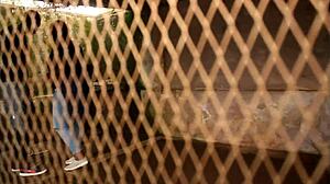 Tourists Discover Unexplored Places And Memorable Moments In Park