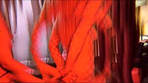 براد نيومان - س3كسوس - بلايك بلوسوم ولاني غراي