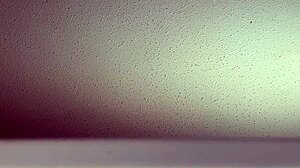 hearing the sounds of fucking from my window 😈