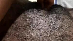 Pussy Play Wet Delights