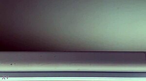 hearing the sounds of fucking from my window 😈