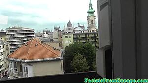 Watch this facial lover tug and suck his cock