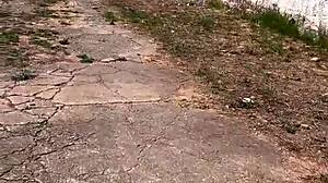 i asked the prostitute on the highway how much for the fuck, she charged nothing and took me to the woods to fuck right there