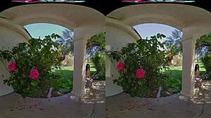 Vrhush Naughty Girl Jazmin Luv Is Hungry For Cock