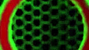 Vicky Vette Rips Off Her Tight Dress And Fingers Her Pussy And Ass