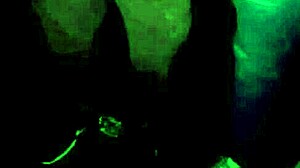 i'm lenev8 fucking with strangers at mirante da lapa, getting cum bath like slut wants