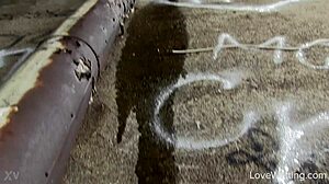 Kitty Pissing Scene Outdoors Publicly