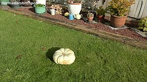 Trashy Milf Pumpkin Toilet