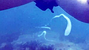 Underwater Creampie While Swimming After Cum Inside Pussy