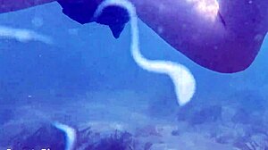 Underwater Creampie While Swimming After Cum Inside Pussy