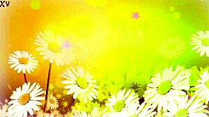 Hans introduces Shalina Devine in a cute chat 😊