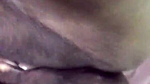 Come Lick My Wet Lips