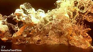 Teen Jana Red Experiences Hardcore Anal Destruction With Big Cock