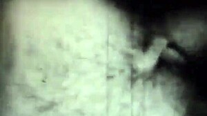 Vintage drawings from antique collections