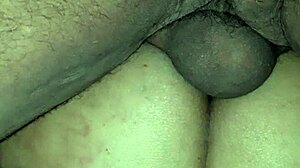 Sister asks brother for anal without condom