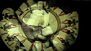 Vintage drawings from antique collections