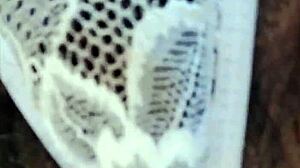 Latina Milf Uses Dildo for Anal Pleasure Outdoors