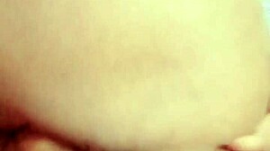 sundaydogood614 - update 870 - vid 20250322 134221 - mar 22 2025