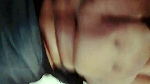 sundaydogood614 - update 870 - vid 20250322 134221 - mar 22 2025