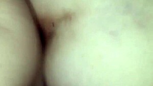 Ever seen a malvadinho eating a married woman's ass in a pinheiros motel?