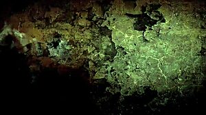 Vintage very old pornography