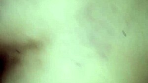 Ever seen a malvadinho eating a married woman's ass in a pinheiros motel?