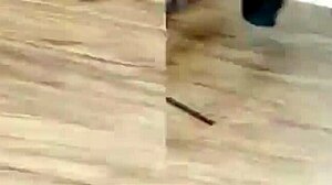 wanna watch youngstarbrazy's cute couple in passionate missionary webcam sex?