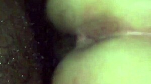 lil black interracial amateurs get wild. check out the action!