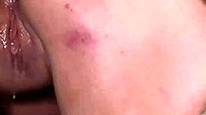 Lisa Sparkle trained as sex slave.