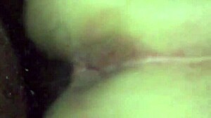 lil black interracial amateurs get wild. check out the action!