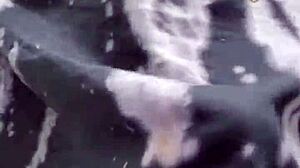 this femboy sissy girl wonders about her girlcock bulge underneath