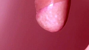 fuck my japanese wife ill see you 😏