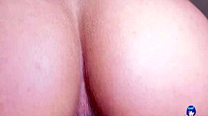 my hot sister-in-law gives pussy and rides cock till tired