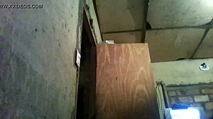 Amateurs engage in detailed homemade fucking with intense passion