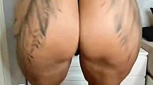 All my incredible and brutal movies in my exclusive xvideos channel